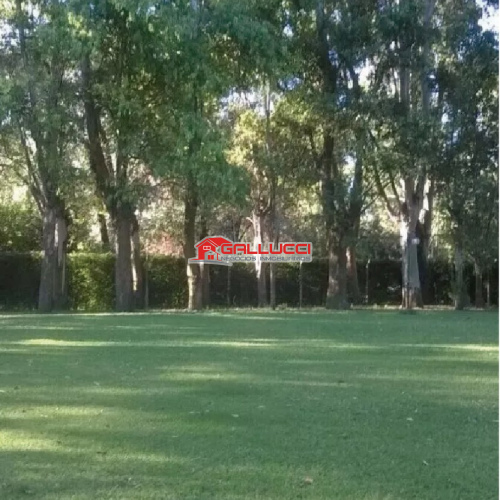 Excelente Quinta En Abasto